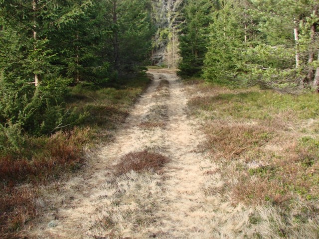 Košenjak (mar.2017 in ogl. t.) - foto