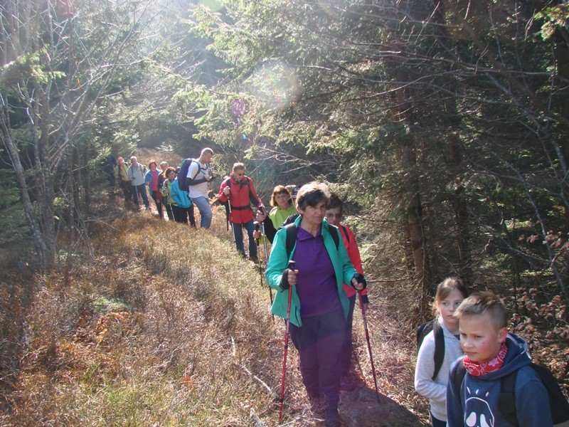 Košenjak (mar.2017 in ogl. t.) - foto povečava