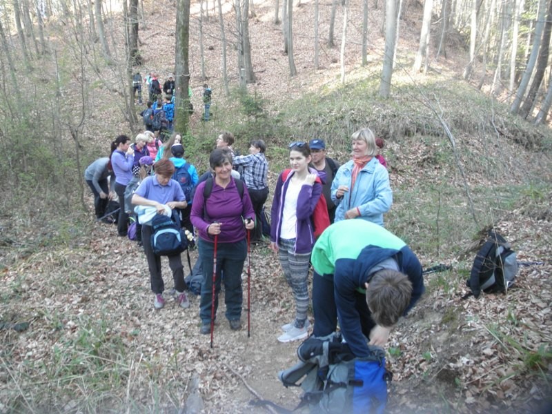 žusem ali špiček (apr.2017) - foto povečava