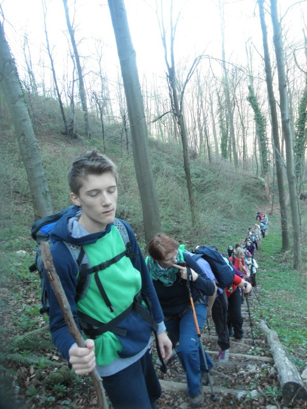 žusem ali špiček (apr.2017) - foto povečava