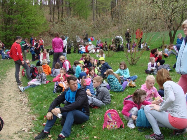 Srečanje otrok mdo mo pomurja (apr.2017) - foto