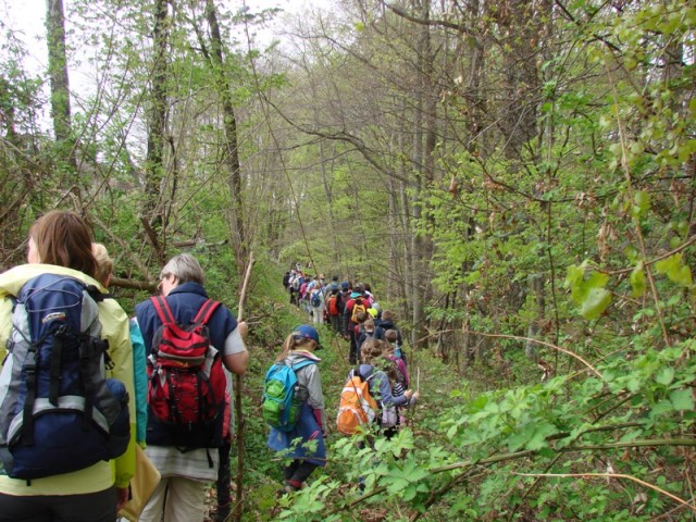 Srečanje otrok mdo mo pomurja (apr.2017) - foto