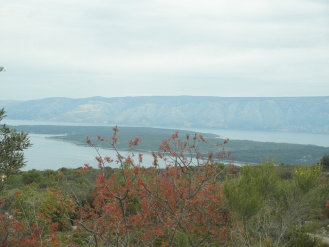 Hvar (22.-26.4.2017) - foto