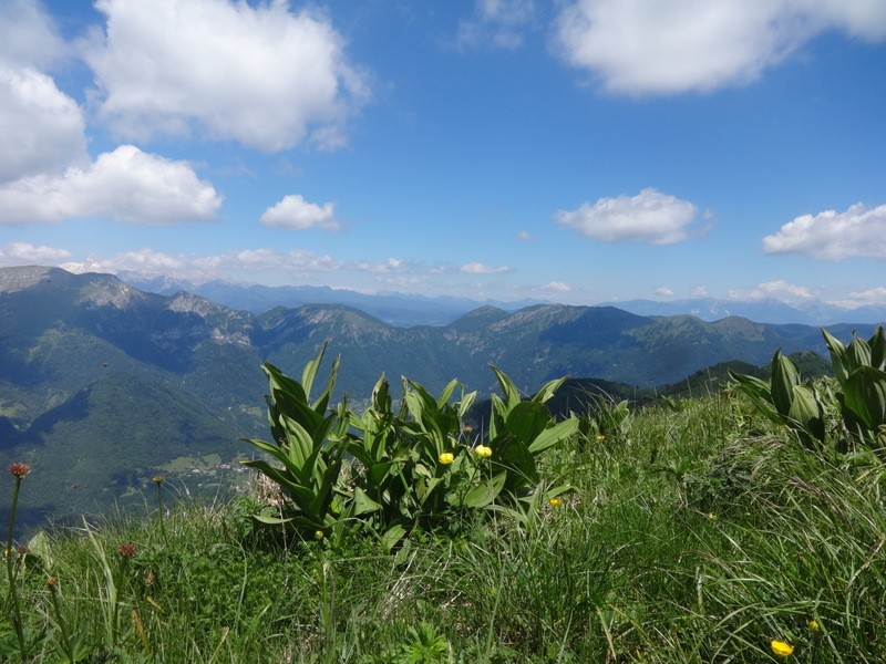 Porezen (jun. 2017 + ogledna t.) - foto povečava