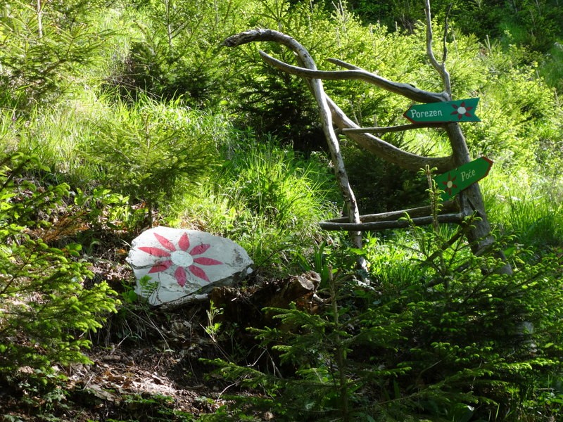 Porezen (jun. 2017 + ogledna t.) - foto povečava