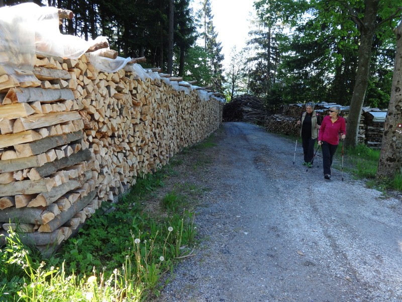 Porezen (jun. 2017 + ogledna t.) - foto povečava