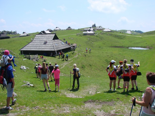 Velika planina (24.jun.2017) - foto