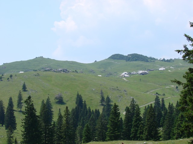 Velika planina (24.jun.2017) - foto