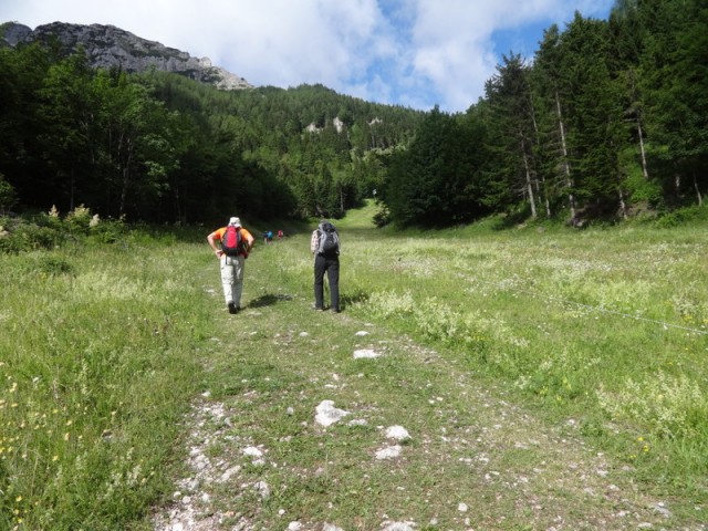 Schneeberg (jul.+ogl.t.) - foto