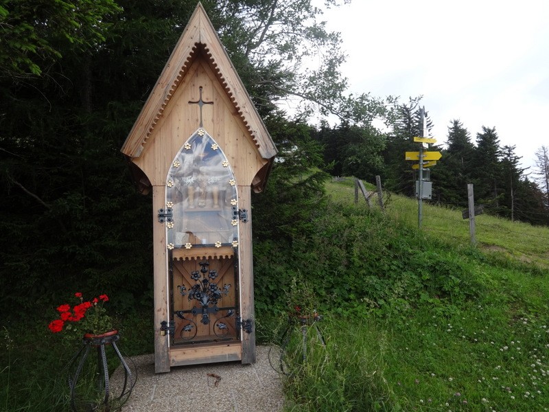 Schneeberg (jul.+ogl.t.) - foto povečava