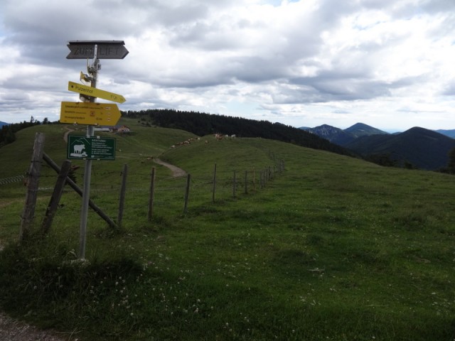 Schneeberg (jul.+ogl.t.) - foto