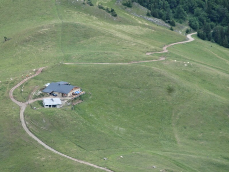 Schneeberg (jul.+ogl.t.) - foto povečava