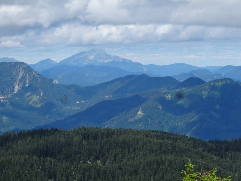 Schneeberg (jul.+ogl.t.) - foto povečava