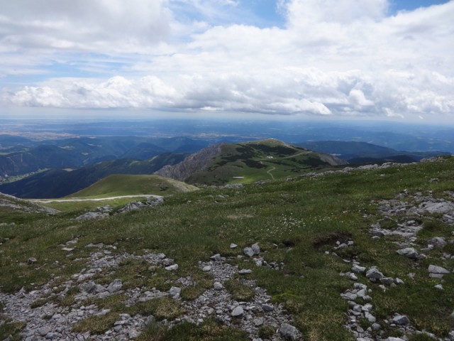 Schneeberg (jul.+ogl.t.) - foto