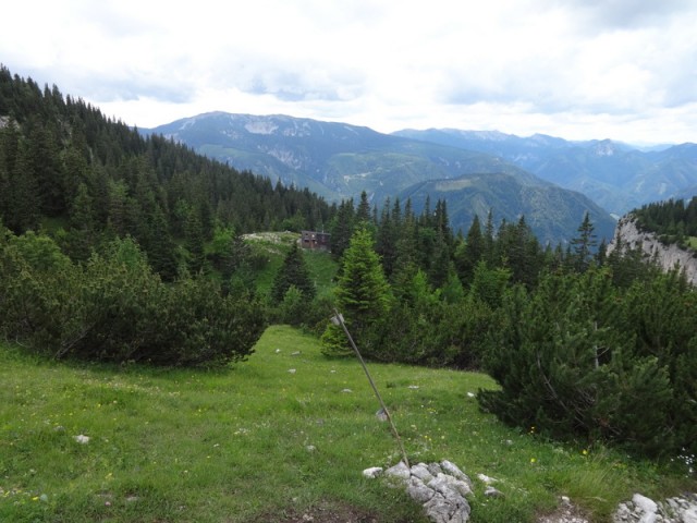 Schneeberg (jul.+ogl.t.) - foto