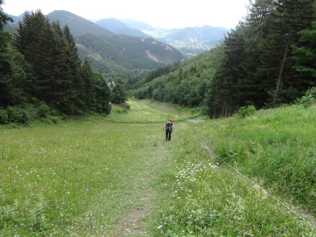 Schneeberg (jul.+ogl.t.) - foto