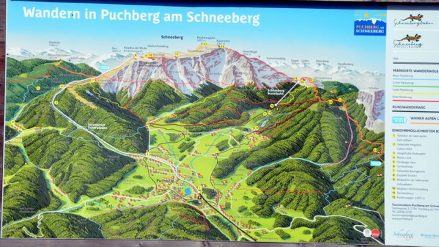 Schneeberg (jul.+ogl.t.) - foto