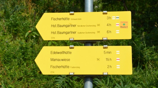Schneeberg (jul.+ogl.t.) - foto