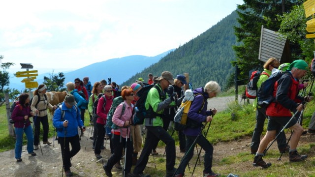 Schneeberg (jul.+ogl.t.) - foto