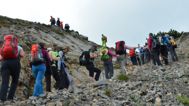 Schneeberg (jul.+ogl.t.) - foto