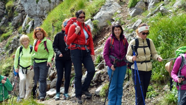 Schneeberg (jul.+ogl.t.) - foto