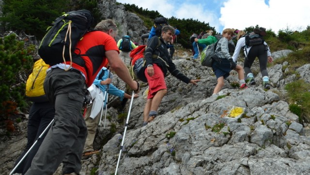 Schneeberg (jul.+ogl.t.) - foto