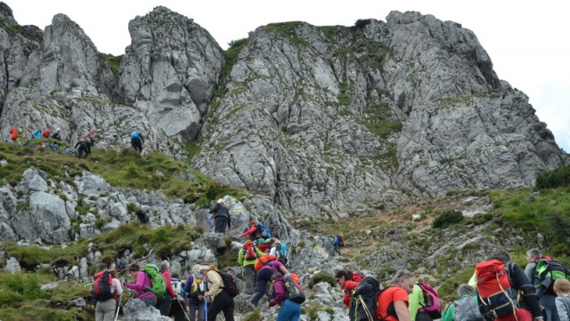 Schneeberg (jul.+ogl.t.) - foto