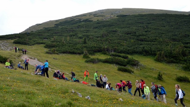 Schneeberg (jul.+ogl.t.) - foto
