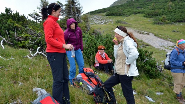 Schneeberg (jul.+ogl.t.) - foto