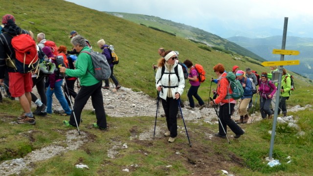 Schneeberg (jul.+ogl.t.) - foto