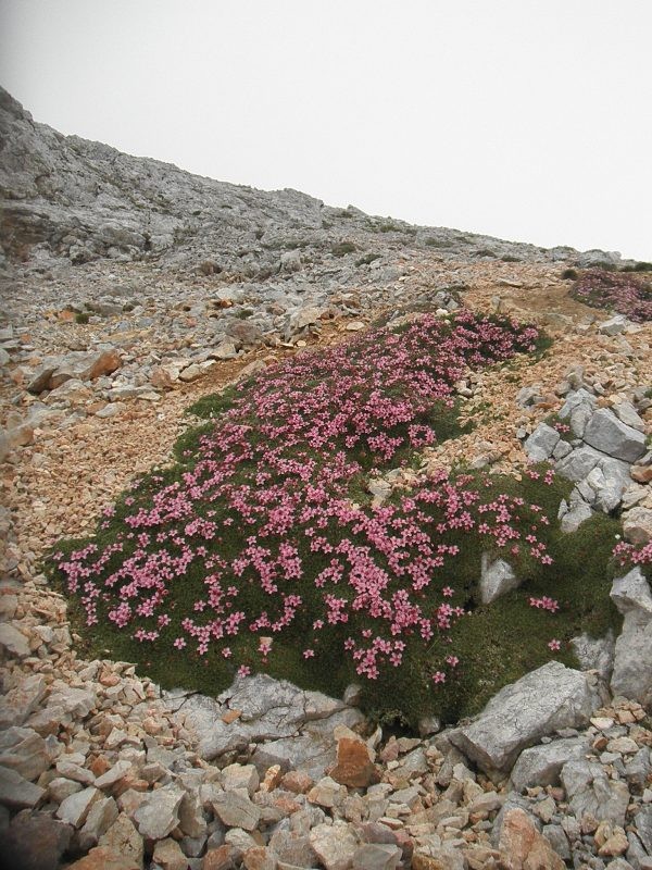 Triglav (29.-30.7.2017) - foto povečava