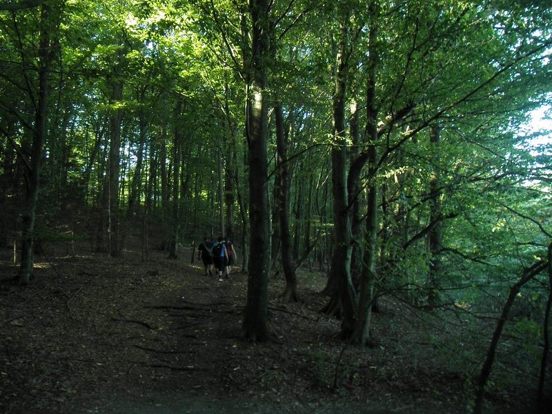 2. pohod VDC POLŽ (31.8.2017) - foto povečava