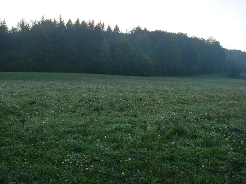 Stene Sv. Ane, Grmada (22.10.2107 + ogl. t.) - foto povečava