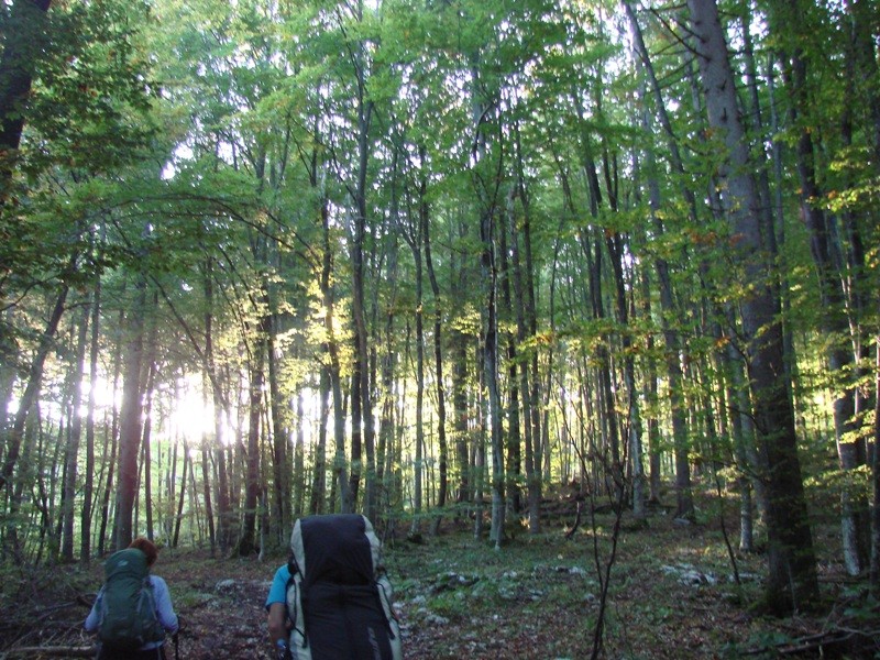 Stene Sv. Ane, Grmada (22.10.2107 + ogl. t.) - foto povečava