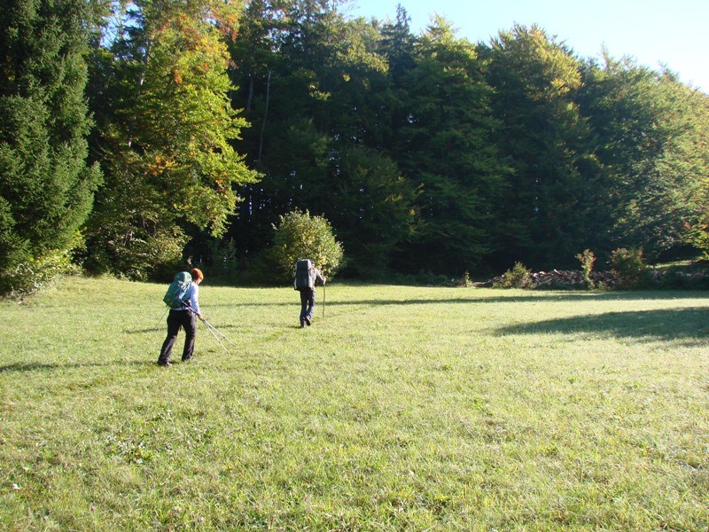 Stene Sv. Ane, Grmada (22.10.2107 + ogl. t.) - foto povečava