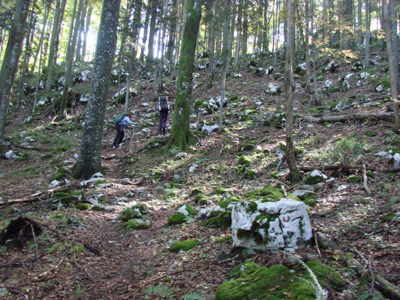 Stene Sv. Ane, Grmada (22.10.2107 + ogl. t.) - foto povečava