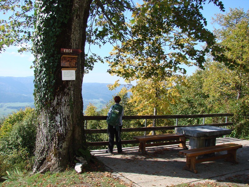 Stene Sv. Ane, Grmada (22.10.2107 + ogl. t.) - foto povečava