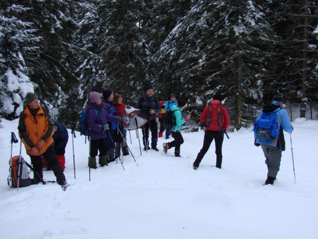 Smrekovec (18.11.2017 + ogl. t.) - foto