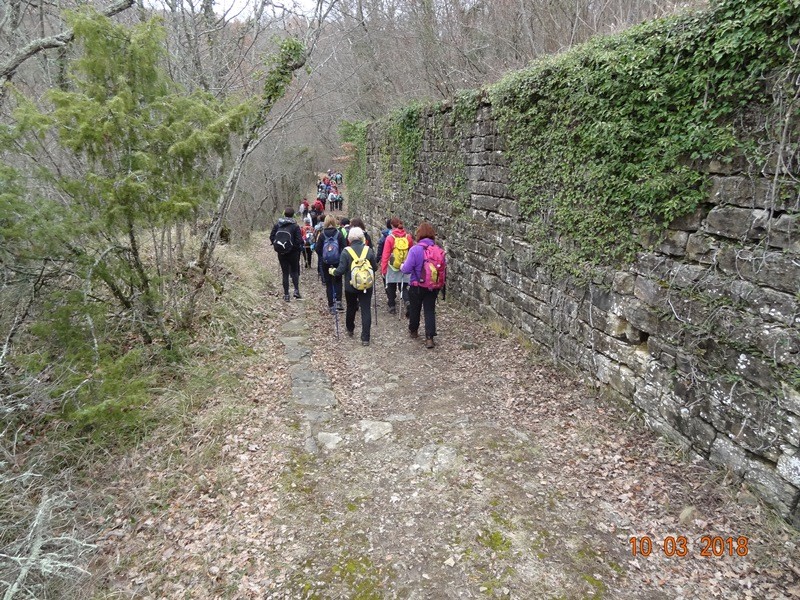 10. trad. poh. ob dnevu zena (10.-11.3.2018) - foto povečava