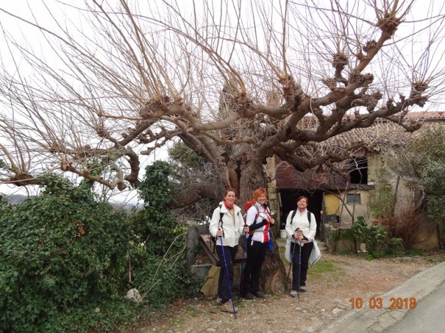 10. trad. poh. ob dnevu zena (10.-11.3.2018) - foto