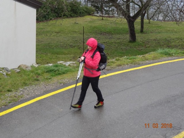 10. trad. poh. ob dnevu zena (10.-11.3.2018) - foto