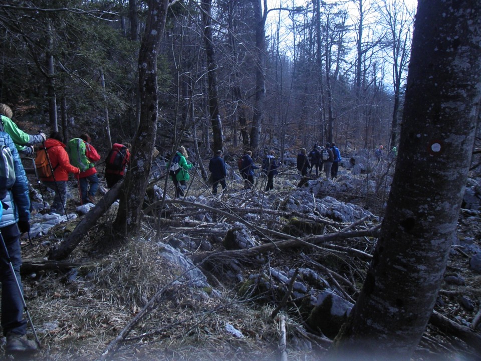 Planinsko polje (24.3.2018) - foto povečava