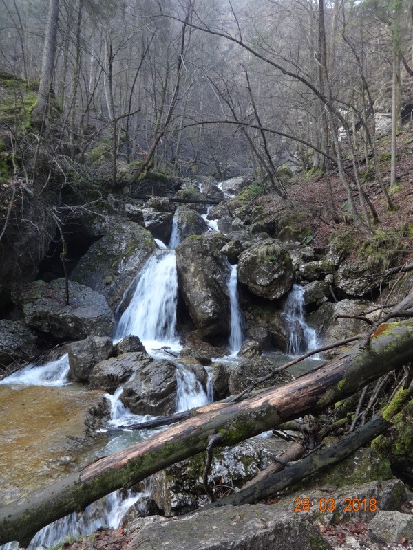 Soteska pekel pri borovnici (8.4.2018+ogl.t.) - foto povečava