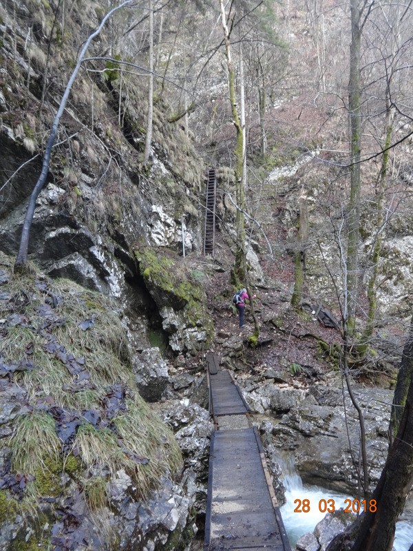 Soteska pekel pri borovnici (8.4.2018+ogl.t.) - foto povečava