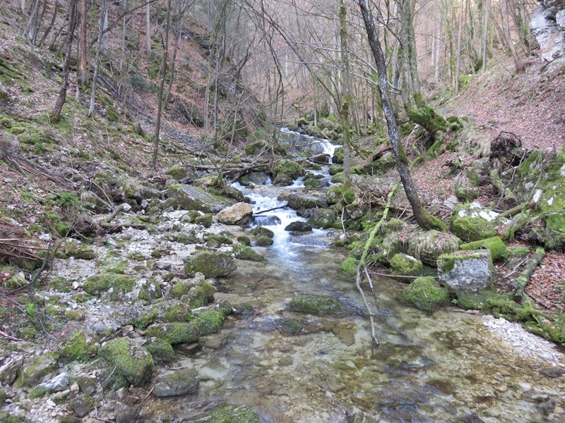 Soteska pekel pri borovnici (8.4.2018+ogl.t.) - foto povečava