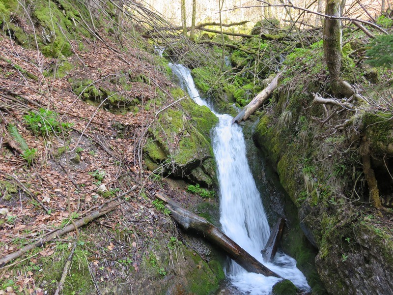 Soteska pekel pri borovnici (8.4.2018+ogl.t.) - foto povečava