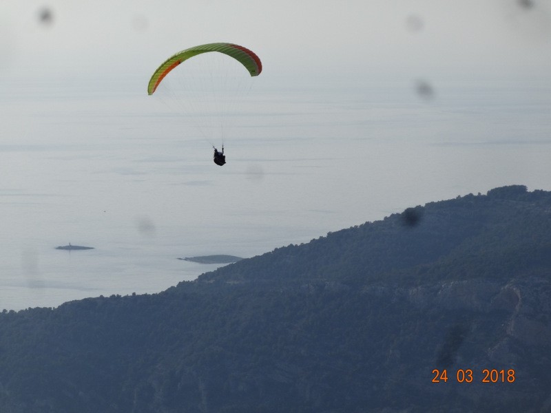 Otok vis (ogled.t.) - foto povečava