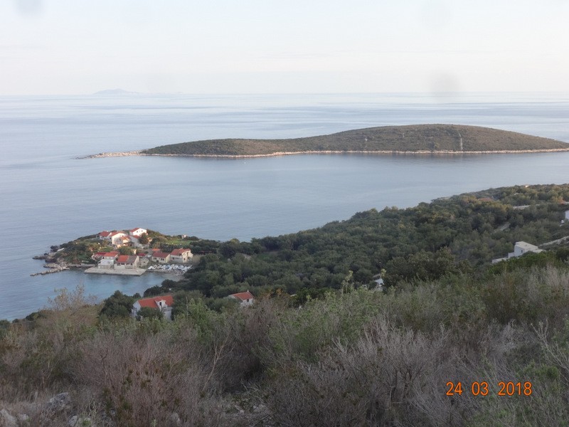 Otok vis (ogled.t.) - foto povečava