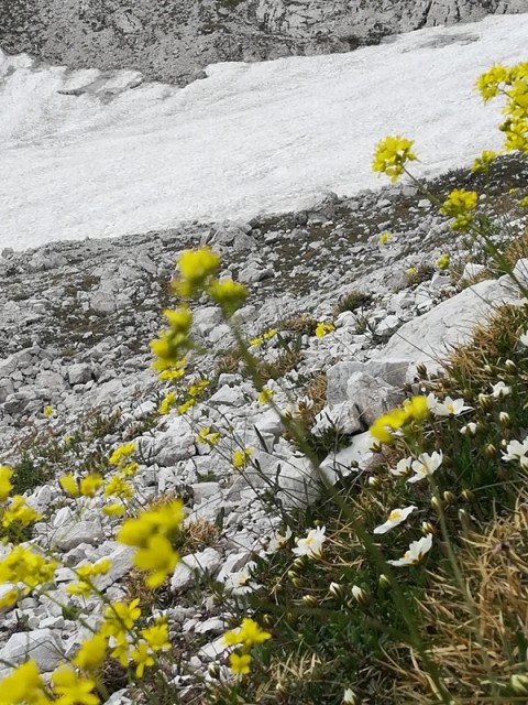 KOMNA (30.6.-1.7.2018) - foto