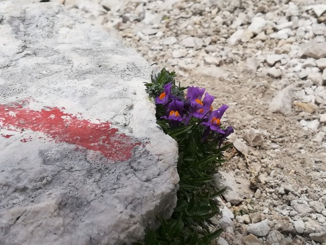 KOMNA (30.6.-1.7.2018) - foto